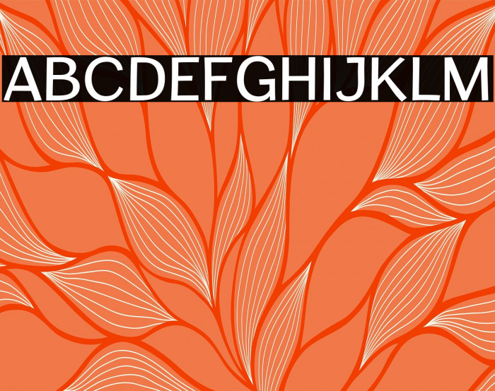 CardiganTitlingRg-Regular Example 1