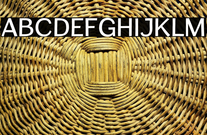 CardiganTitlingRg-Regular Example 2