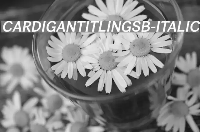 CardiganTitlingSb-Italic Font examples