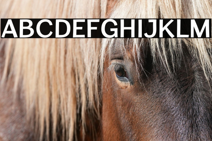 CardiganTitlingSb-Regular Example 3