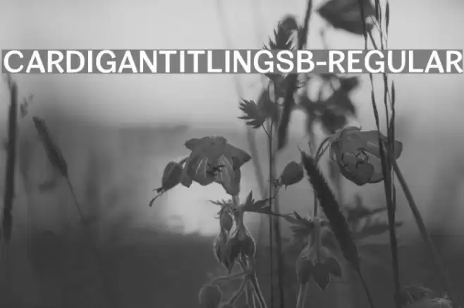 CardiganTitlingSb-Regular Font examples
