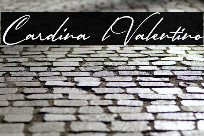 Cardina lValentino Example 1