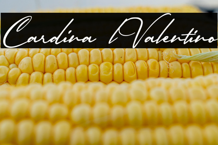 Cardina lValentino Example 2