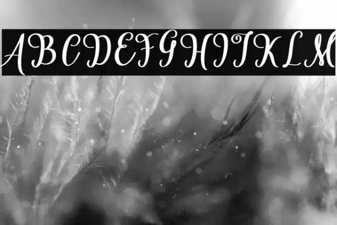 Cardina Font examples