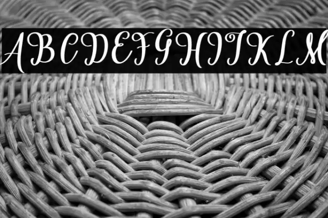 Cardina Font examples