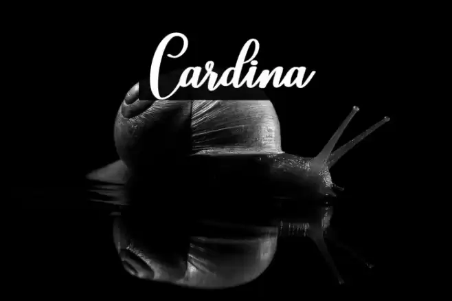 Cardina Font examples
