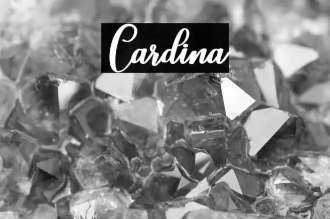 Cardina Font examples