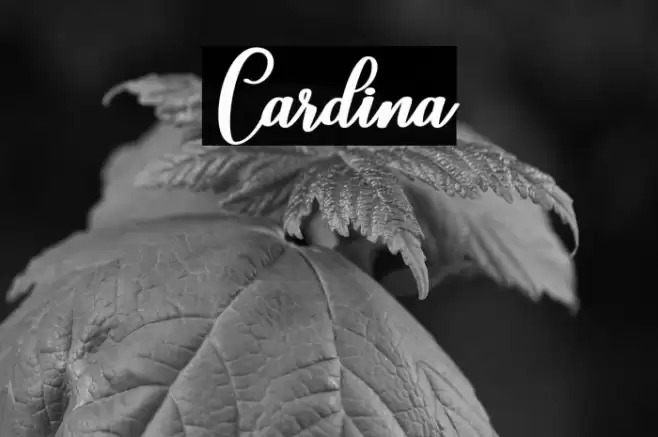 Cardina Font examples