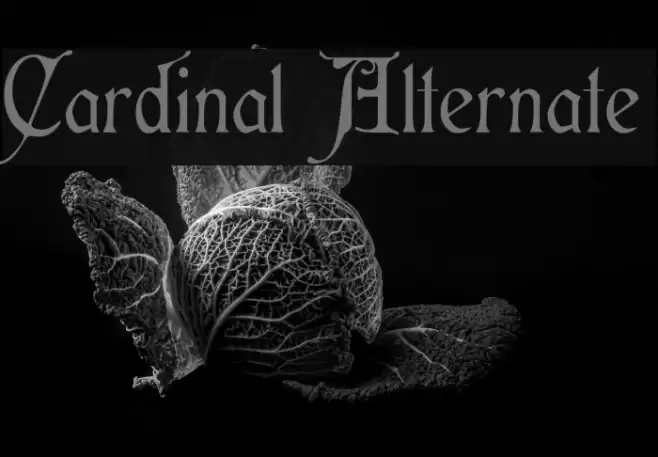 Cardinal Alternate Font examples