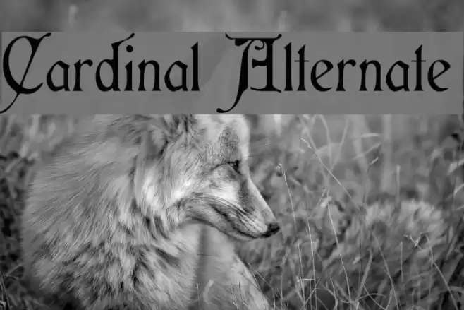 Cardinal Alternate Font examples
