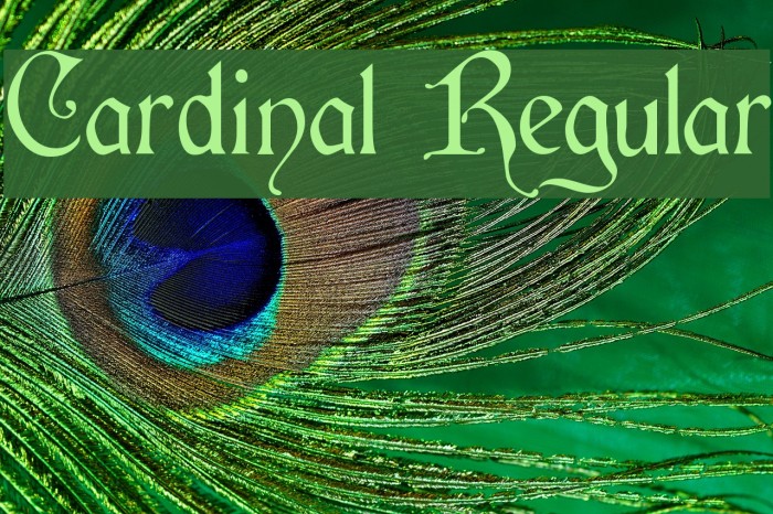 Cardinal Regular Font examples