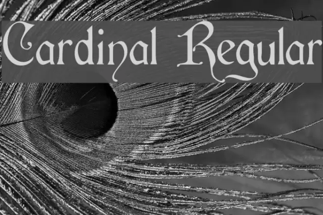 Cardinal Regular Schriftart examples