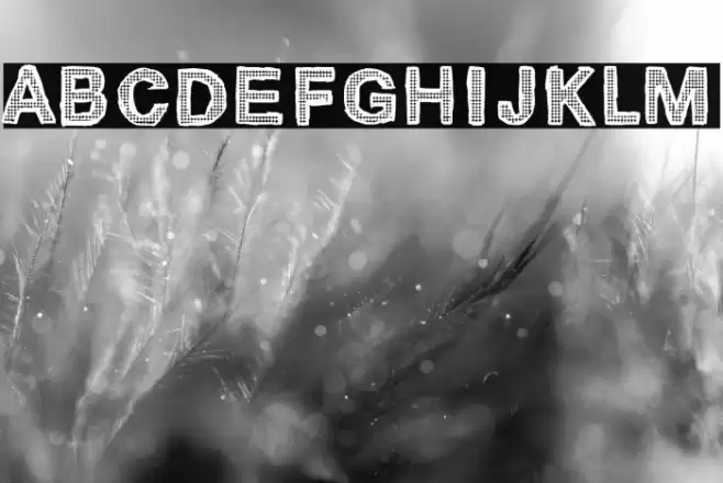 Cardinale 370 Font examples