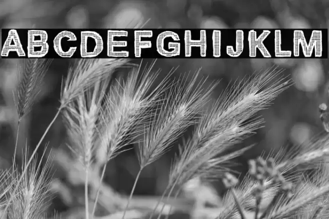 Cardinale 370 Font examples