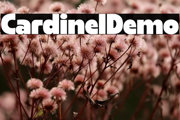 Cardinel Demo Example 3