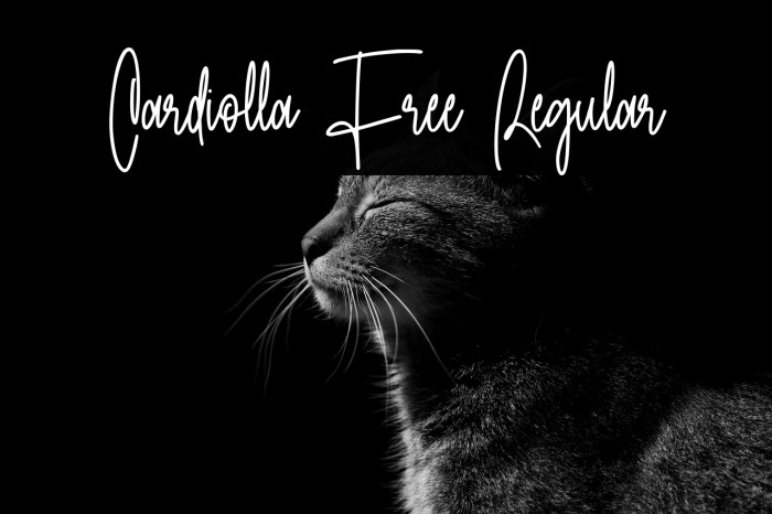 Cardiolla Free Regular Example 1