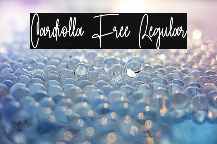 Cardiolla Free Regular Example 2