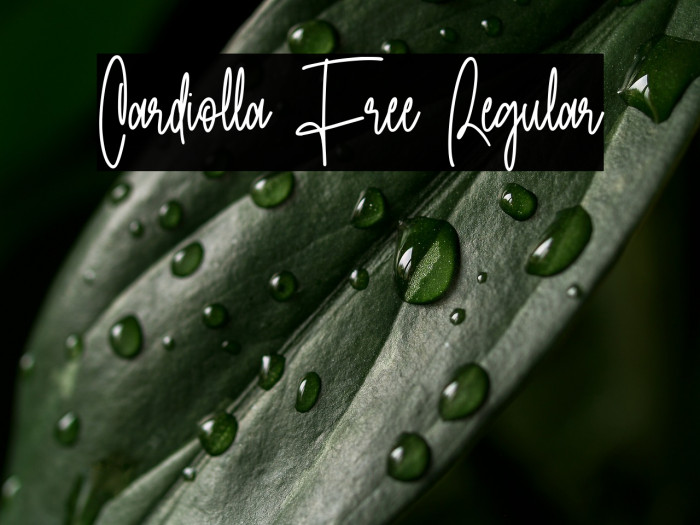 Cardiolla Free Regular Example 3