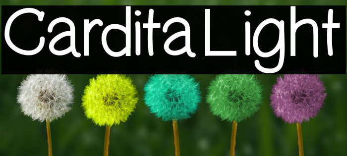 CarditaLight Font examples
