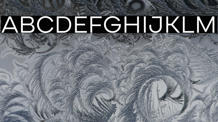 CardiumA-Regular Example 2