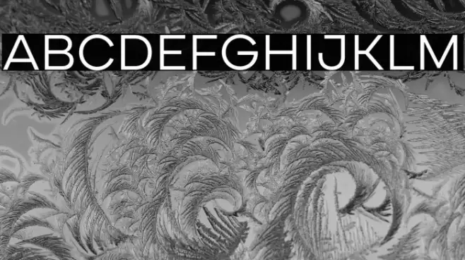 CardiumA-Regular Font examples