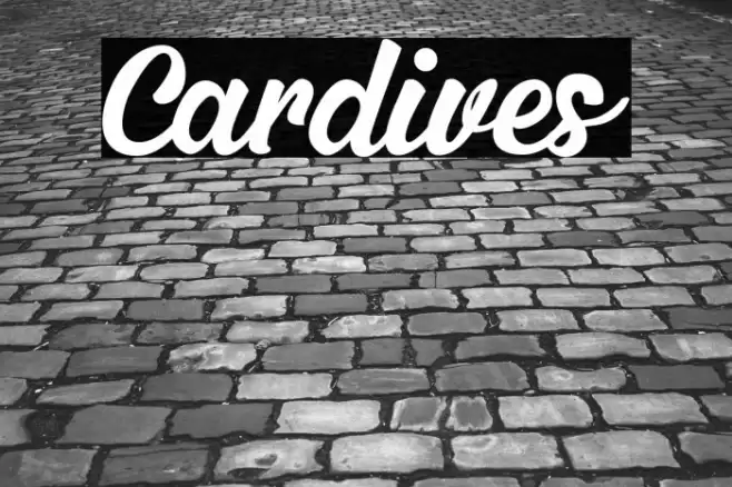 Cardives Font examples