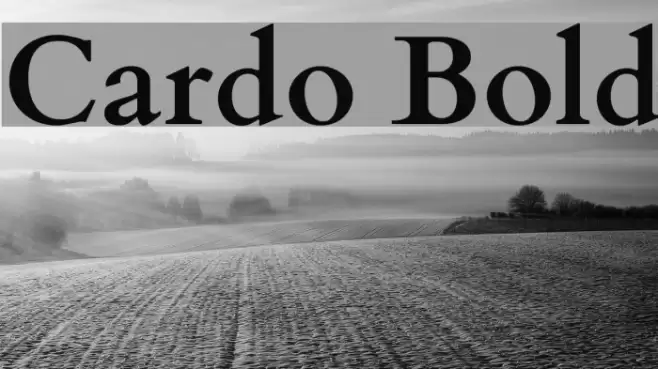 Cardo Bold Font examples