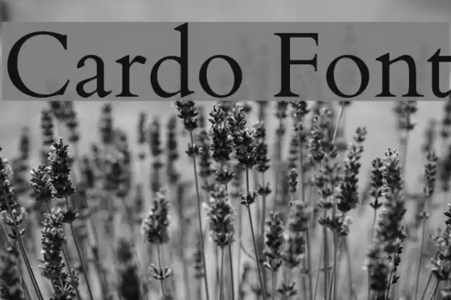 Cardo Font examples