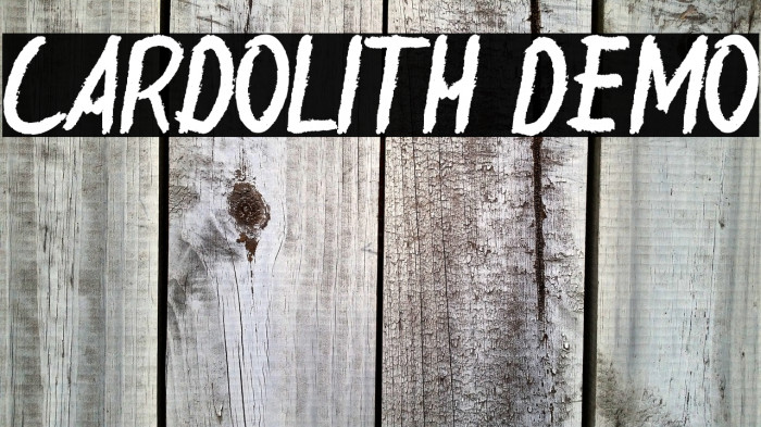 Cardolith Demo Example 3