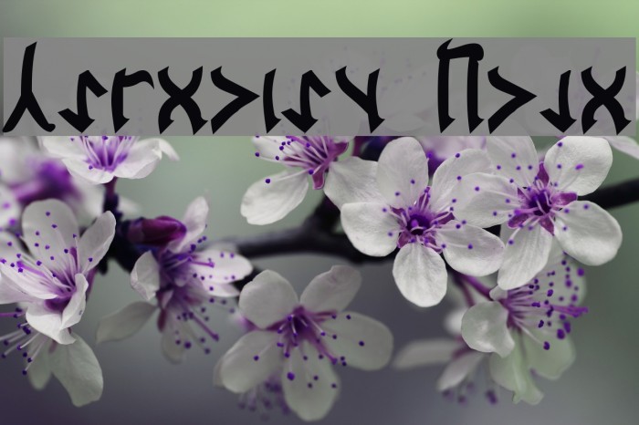 Cardosan Bold Example 2