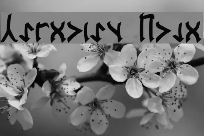 Cardosan Bold Font examples