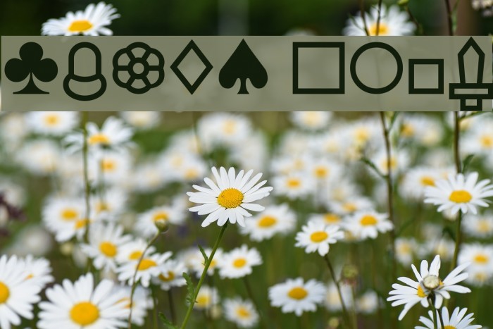Cards Font examples