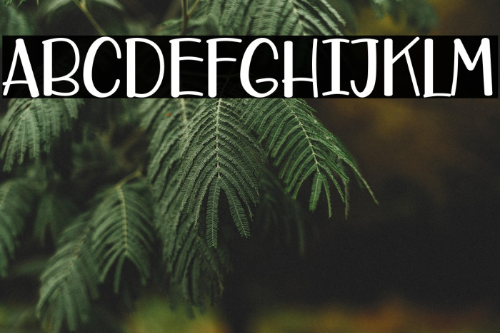 Care Around Example 2