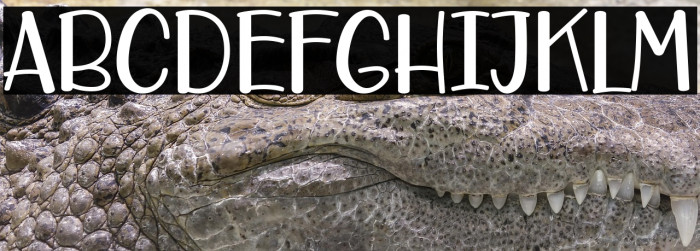 Care Around Example 3