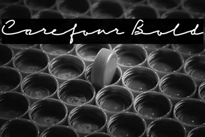 Carefour Bold Font examples