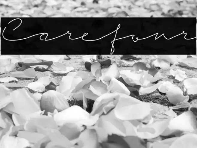 Carefour Font examples