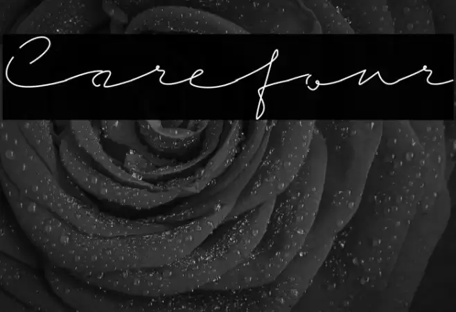 Carefour Font examples