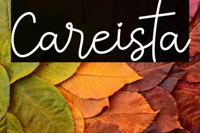 Careista Example 1