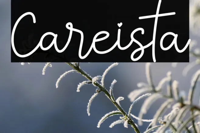 Careista Example 2