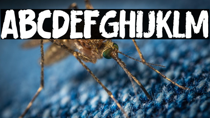 Careless Carry Example 2