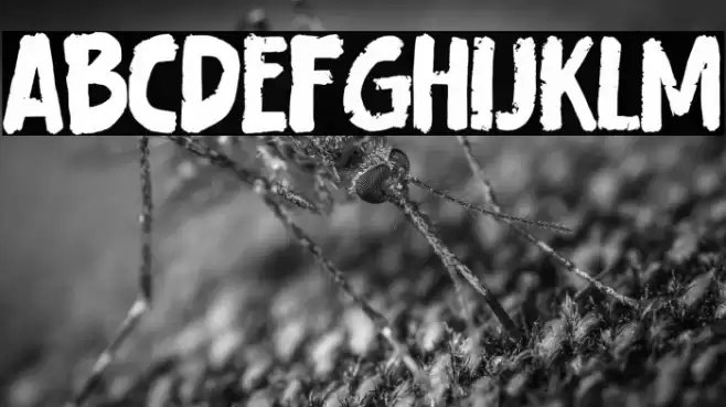 Careless Carry Font examples