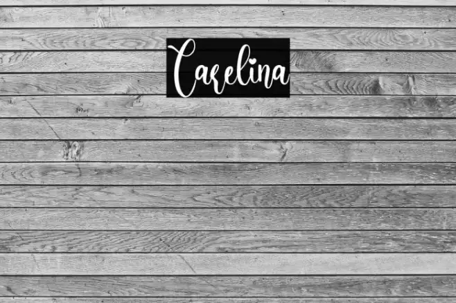 Carelina Font examples