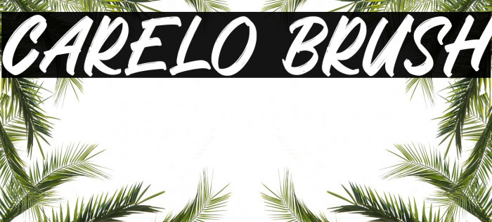 Carelo Brush Polices examples
