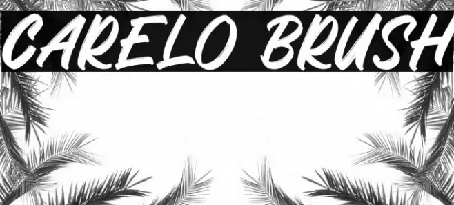 Carelo Brush Polices examples
