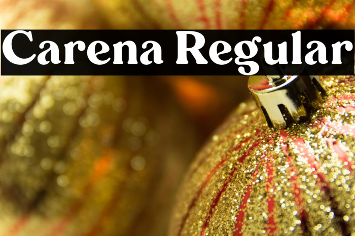 Carena Regular Example 2