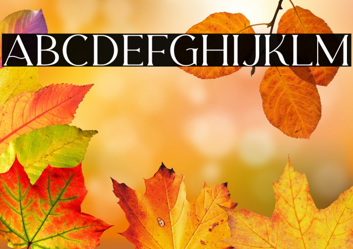 CarentroDEMO Example 1