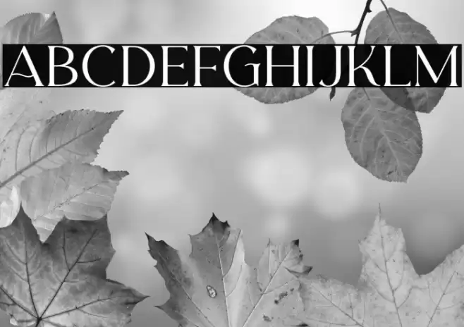 CarentroDEMO Font examples