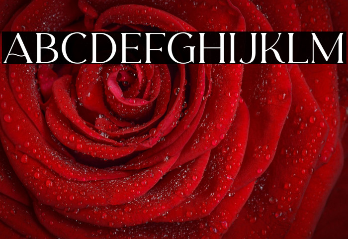 CarentroDEMO Example 3