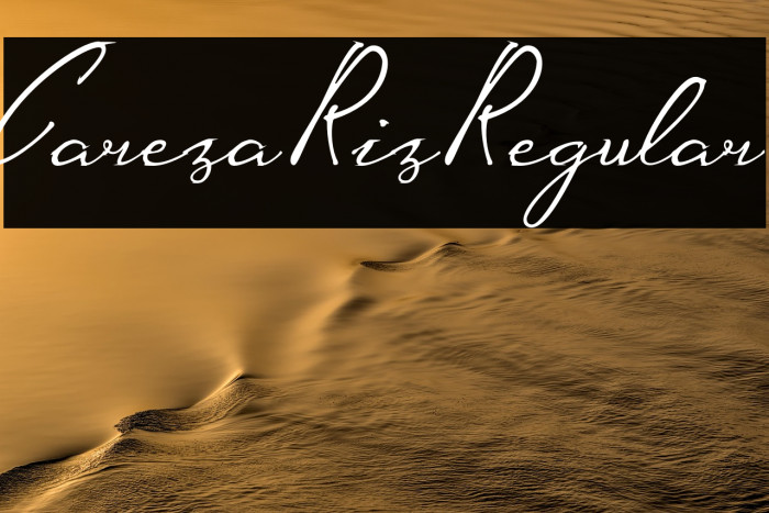 CarezaRizRegular Example 1