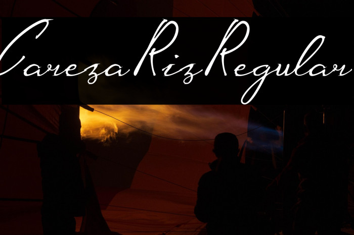 CarezaRizRegular Example 2